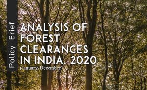 Forest-clearances-2020